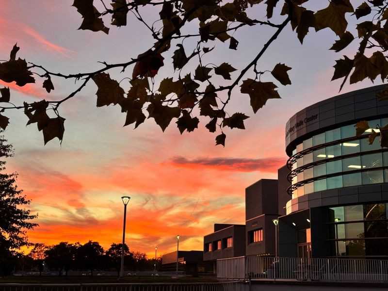 IITDM Vizag campus building at sunset.